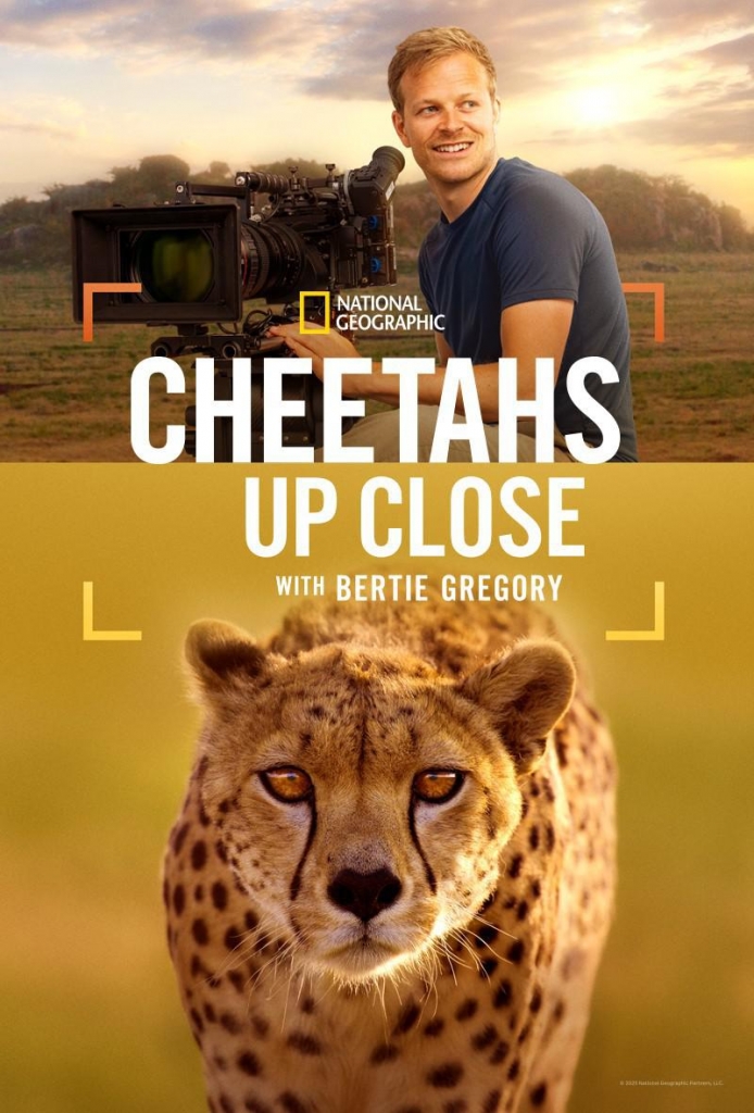 【4K】60帧/杜比视界摄影师贝尔蒂与猎豹零距离 Cheetahs Up Close with Bertie Gregory (2026) 截图 2